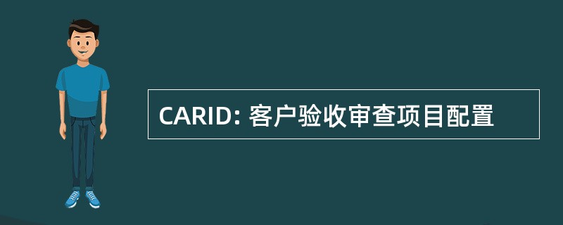 CARID: 客户验收审查项目配置