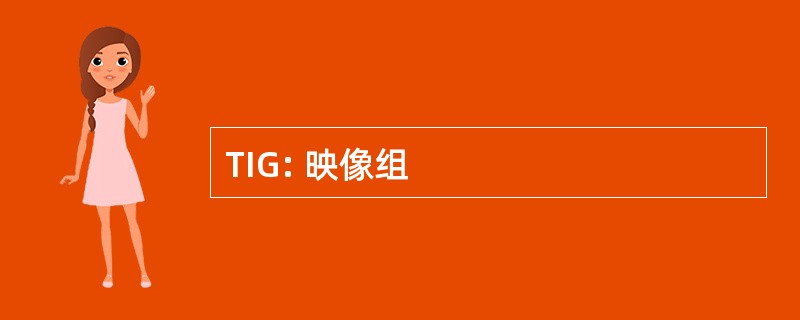 TIG: 映像组