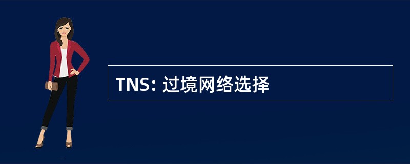 TNS: 过境网络选择