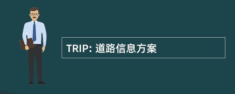 TRIP: 道路信息方案