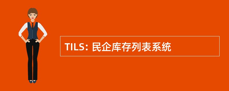 TILS: 民企库存列表系统