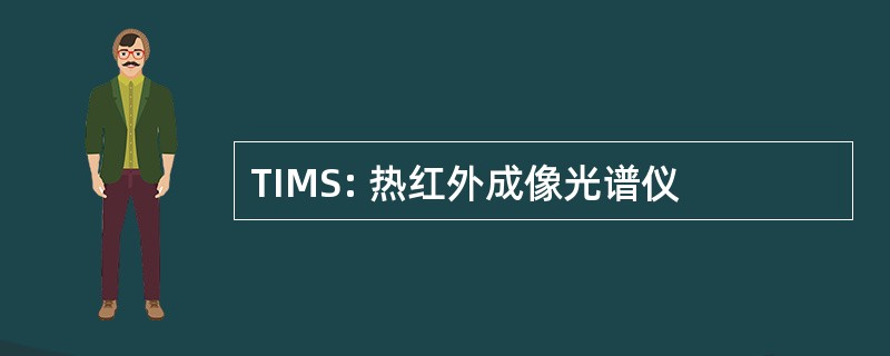 TIMS: 热红外成像光谱仪