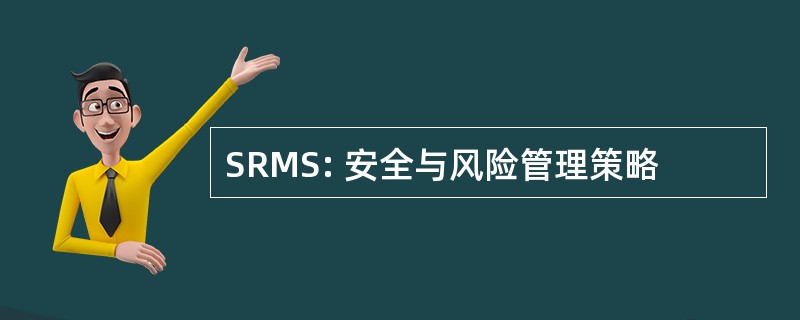 SRMS: 安全与风险管理策略