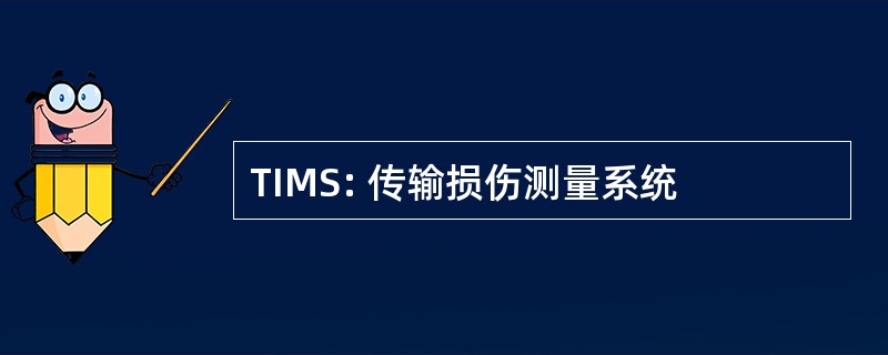 TIMS: 传输损伤测量系统