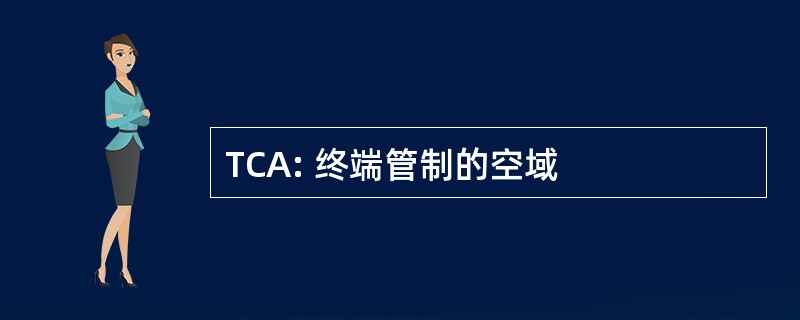 TCA: 终端管制的空域