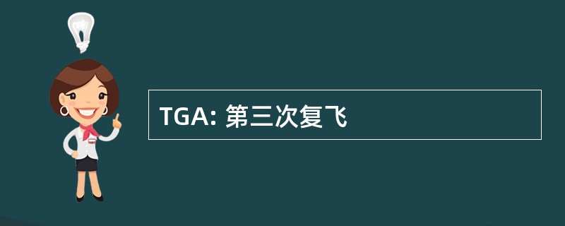 TGA: 第三次复飞