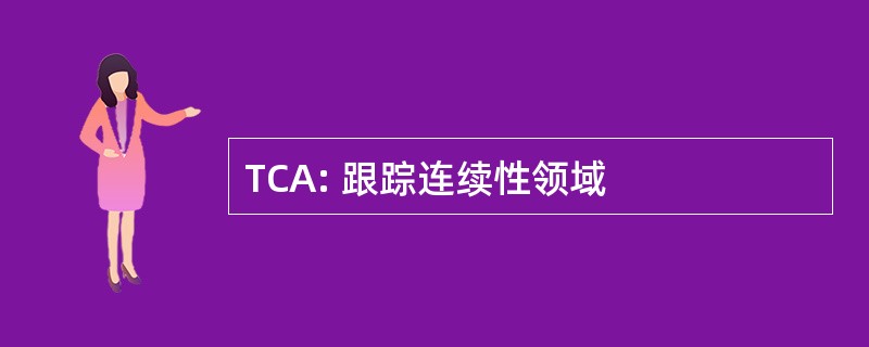 TCA: 跟踪连续性领域