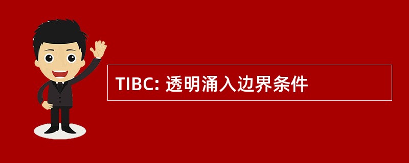 TIBC: 透明涌入边界条件