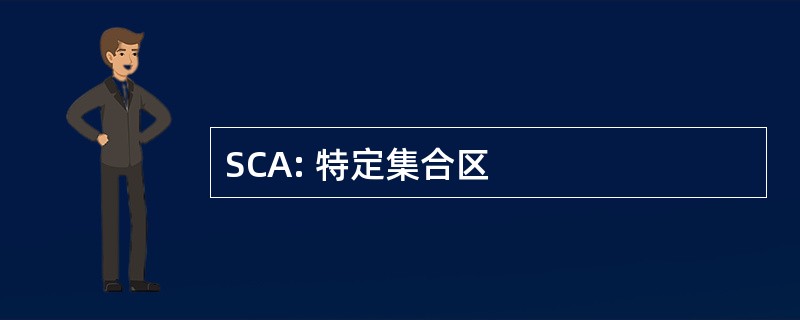 SCA: 特定集合区