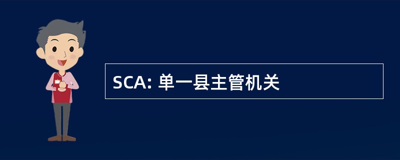 SCA: 单一县主管机关