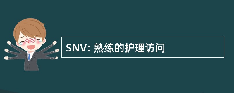 SNV: 熟练的护理访问