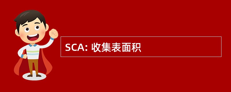 SCA: 收集表面积