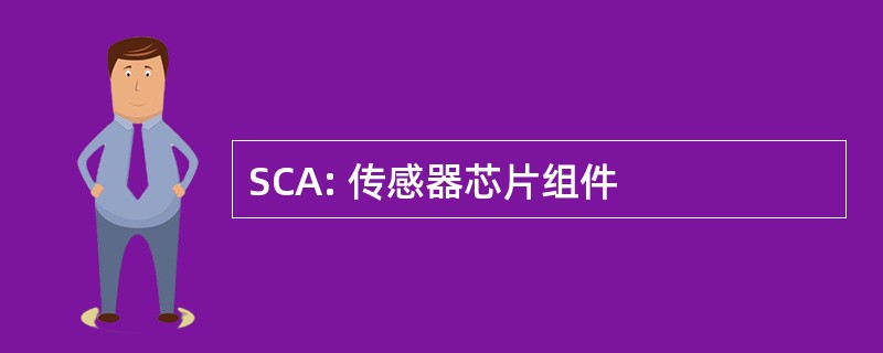 SCA: 传感器芯片组件