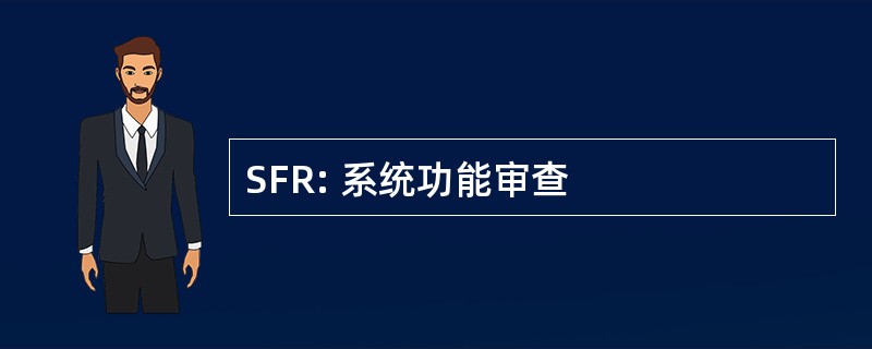 SFR: 系统功能审查