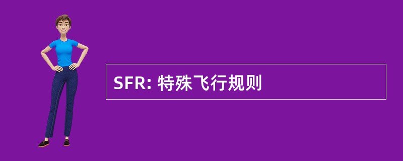 SFR: 特殊飞行规则