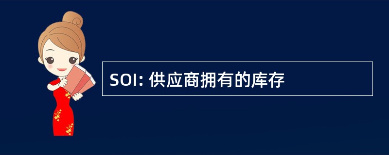 SOI: 供应商拥有的库存