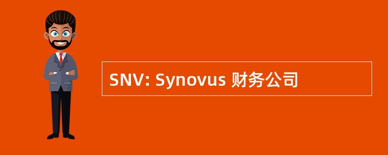 SNV: Synovus 财务公司