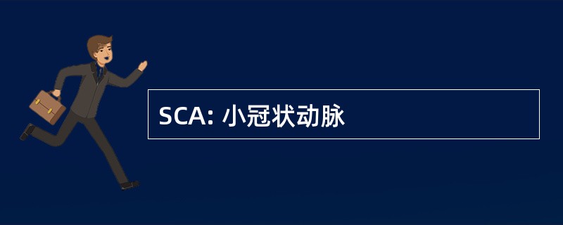 SCA: 小冠状动脉