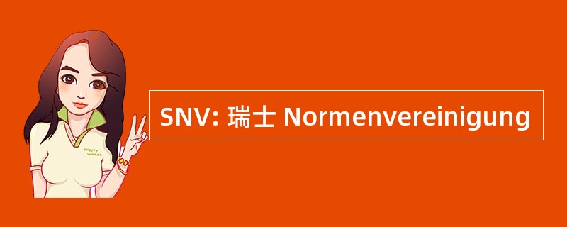 SNV: 瑞士 Normenvereinigung