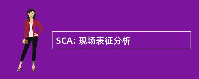 SCA: 现场表征分析