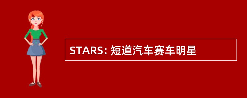 STARS: 短道汽车赛车明星