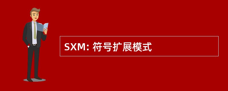 SXM: 符号扩展模式