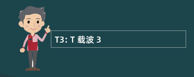 T3: T 载波 3