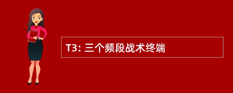 T3: 三个频段战术终端