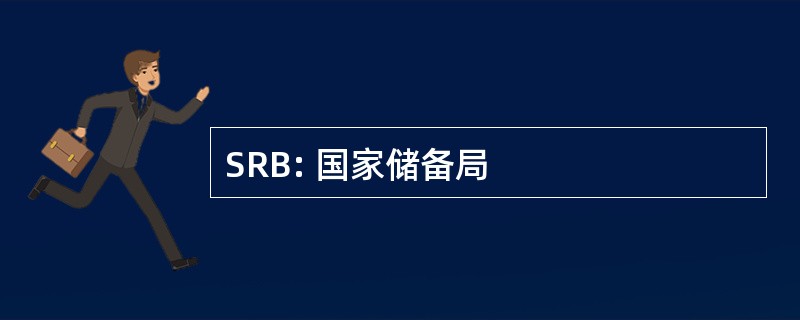 SRB: 国家储备局