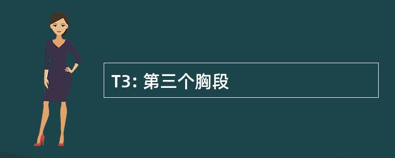 T3: 第三个胸段