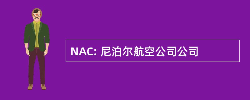 NAC: 尼泊尔航空公司公司