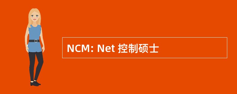 NCM: Net 控制硕士