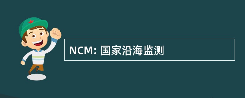 NCM: 国家沿海监测