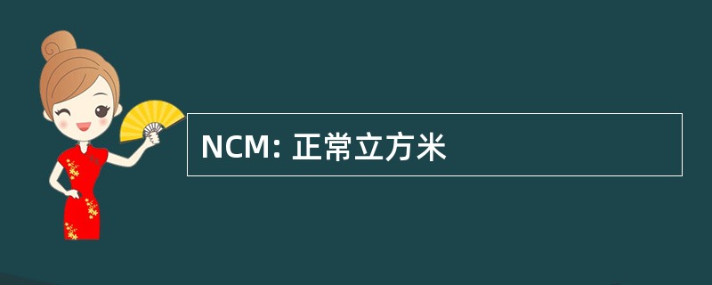 NCM: 正常立方米