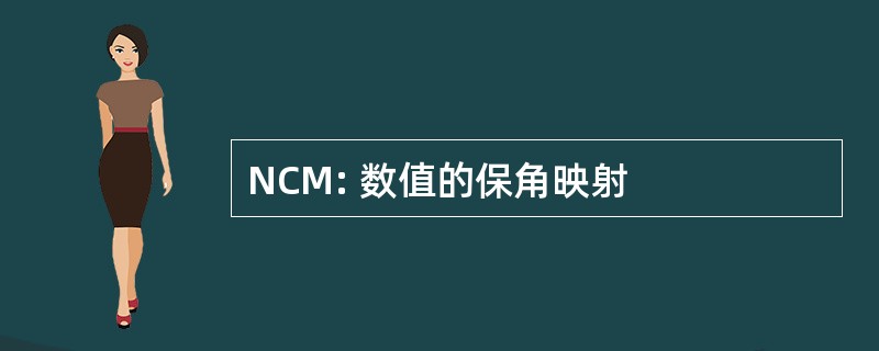 NCM: 数值的保角映射