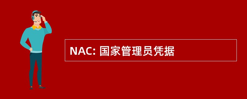 NAC: 国家管理员凭据