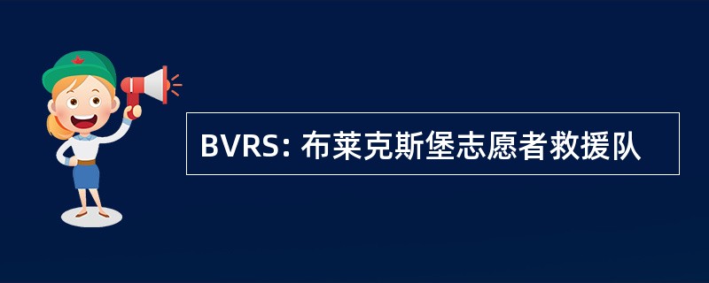 BVRS: 布莱克斯堡志愿者救援队