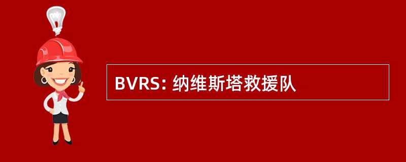 BVRS: 纳维斯塔救援队