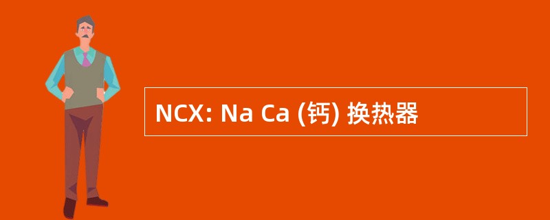 NCX: Na Ca (钙) 换热器