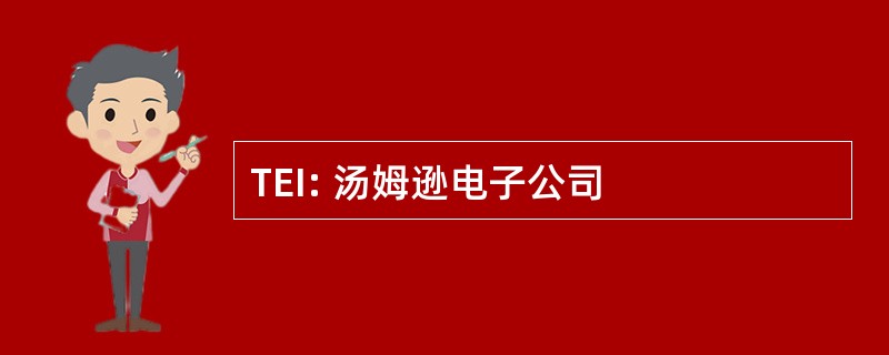 TEI: 汤姆逊电子公司