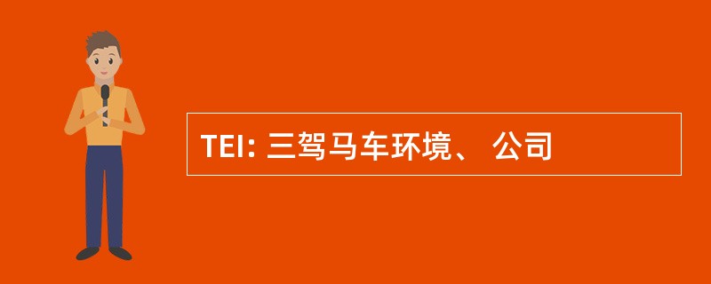 TEI: 三驾马车环境、 公司