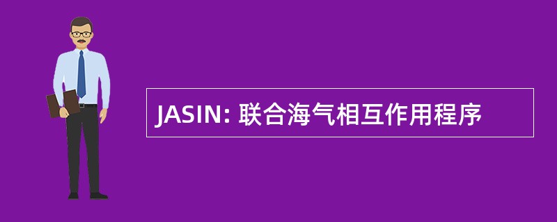 JASIN: 联合海气相互作用程序