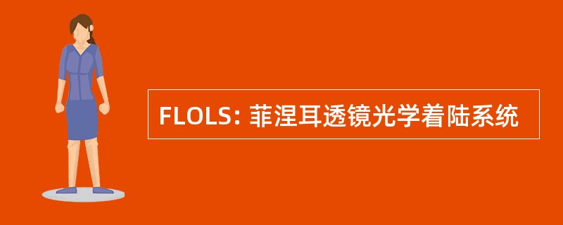 FLOLS: 菲涅耳透镜光学着陆系统