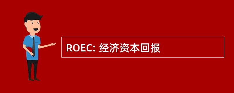 ROEC: 经济资本回报