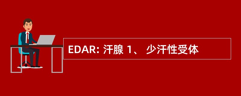 EDAR: 汗腺 1、 少汗性受体