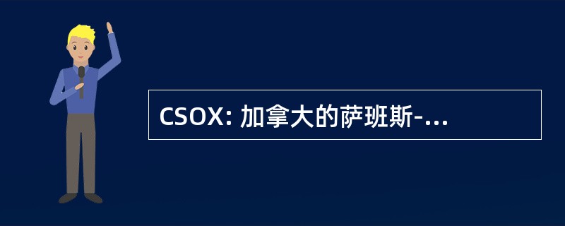 CSOX: 加拿大的萨班斯-奥克斯利法案