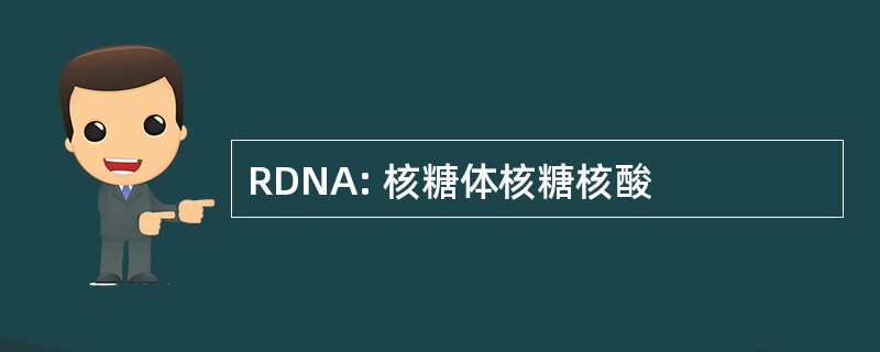 RDNA: 核糖体核糖核酸