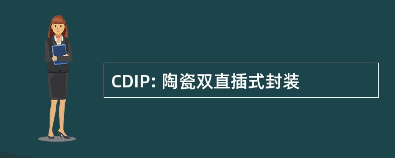 CDIP: 陶瓷双直插式封装