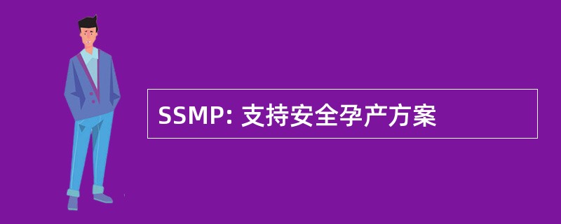 SSMP: 支持安全孕产方案