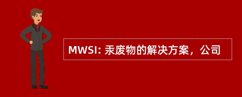 MWSI: 汞废物的解决方案，公司